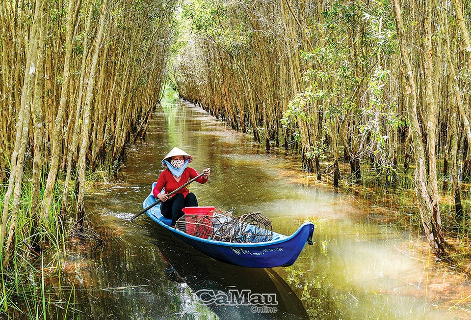 Về với thiên nhiên Về với thiên nhiên