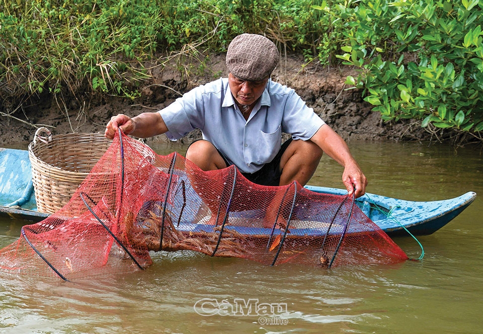 Về với thiên nhiên