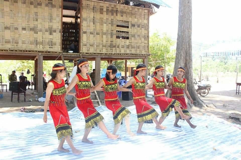 Vườn quốc gia Phước Bình điểm đến sinh thái lý tưởng mùa hè này