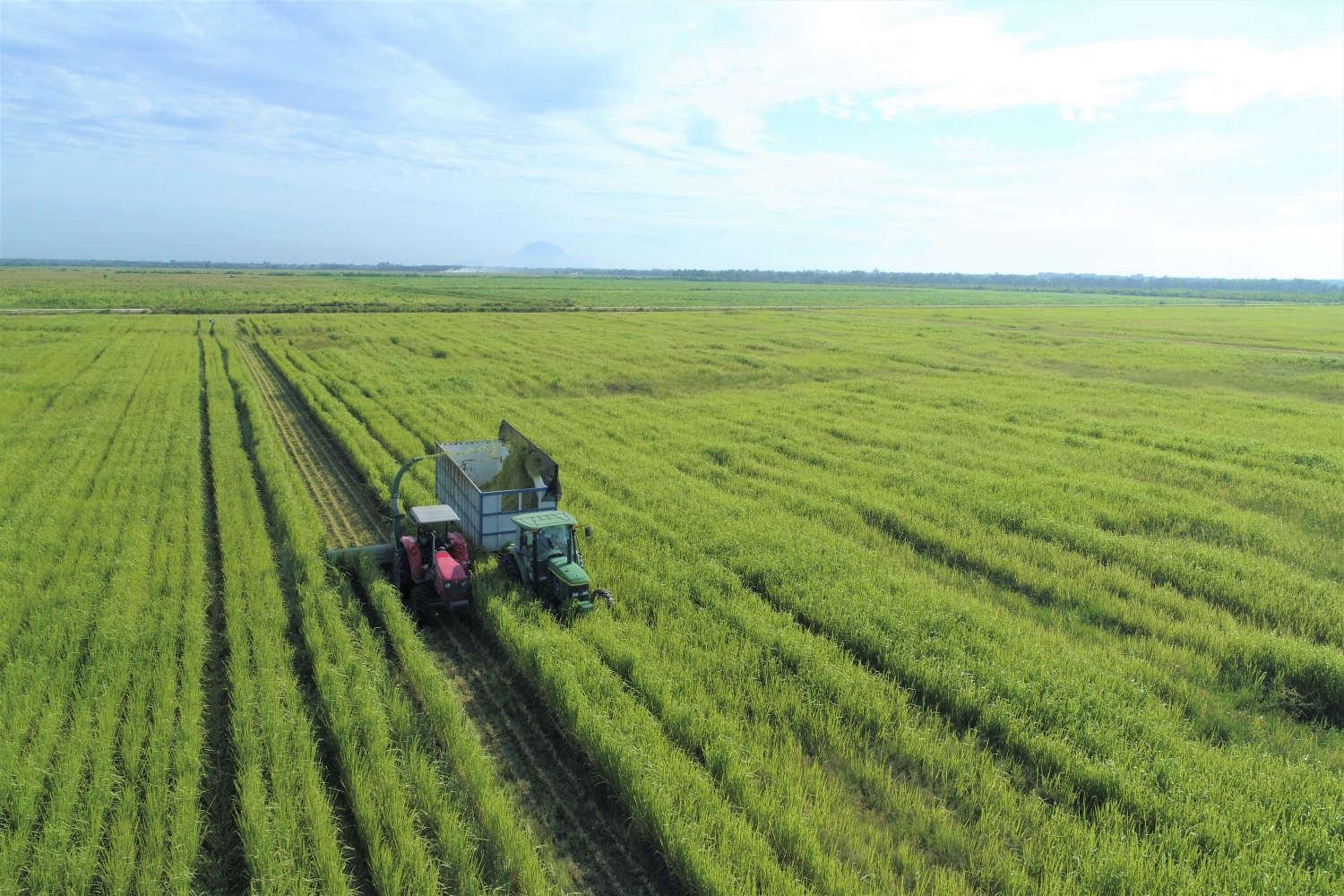 Vinamilk Green Farm - Mô hình trang trại bò sữa phát triển bền vững