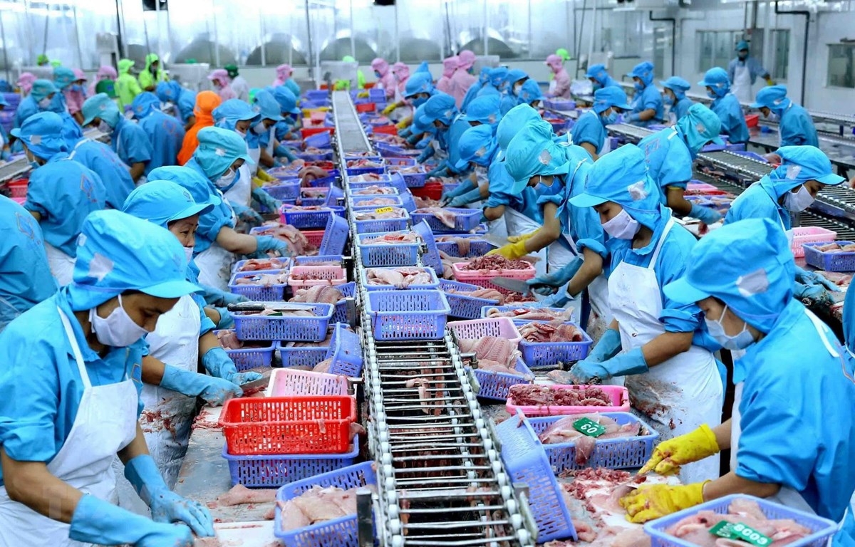Xuất khẩu thủy sản của Việt Nam ước đạt gần 5,8 tỷ USD trong nửa đầu năm 2022