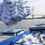 Tin tức kinh tế ngày 9/11: Xuất khẩu gạo đạt 96% kế hoạch sau 10 tháng
