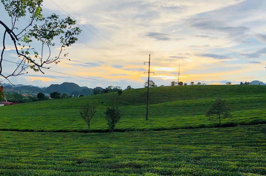Du lịch Mộc Châu - Những trải nghiệm không nên bỏ lỡ