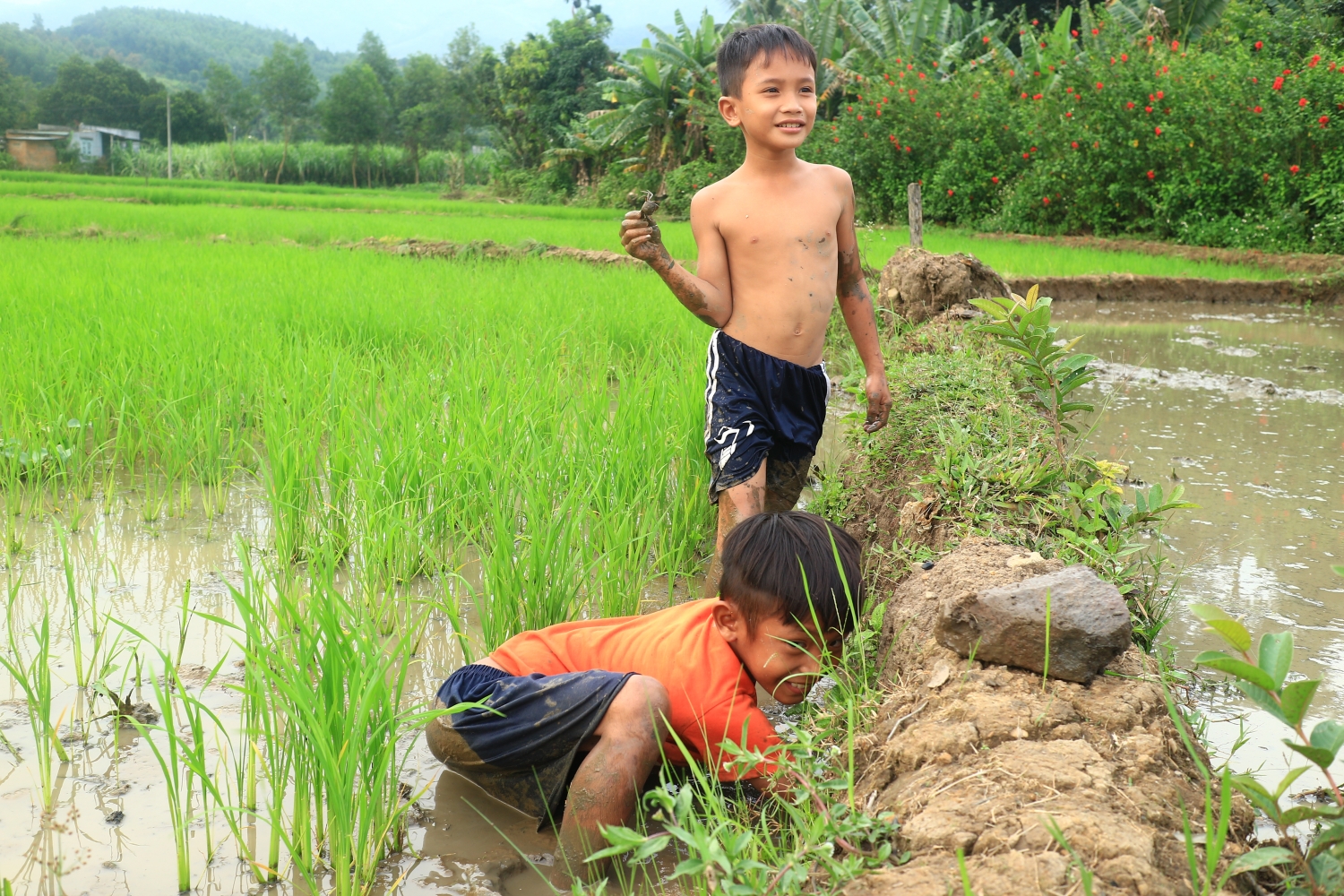 Khánh Sơn - Miền cao nguyên xanh