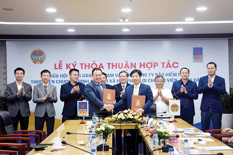 Bảo hiểm PVI - Định vị thương hiệu bằng chữ 