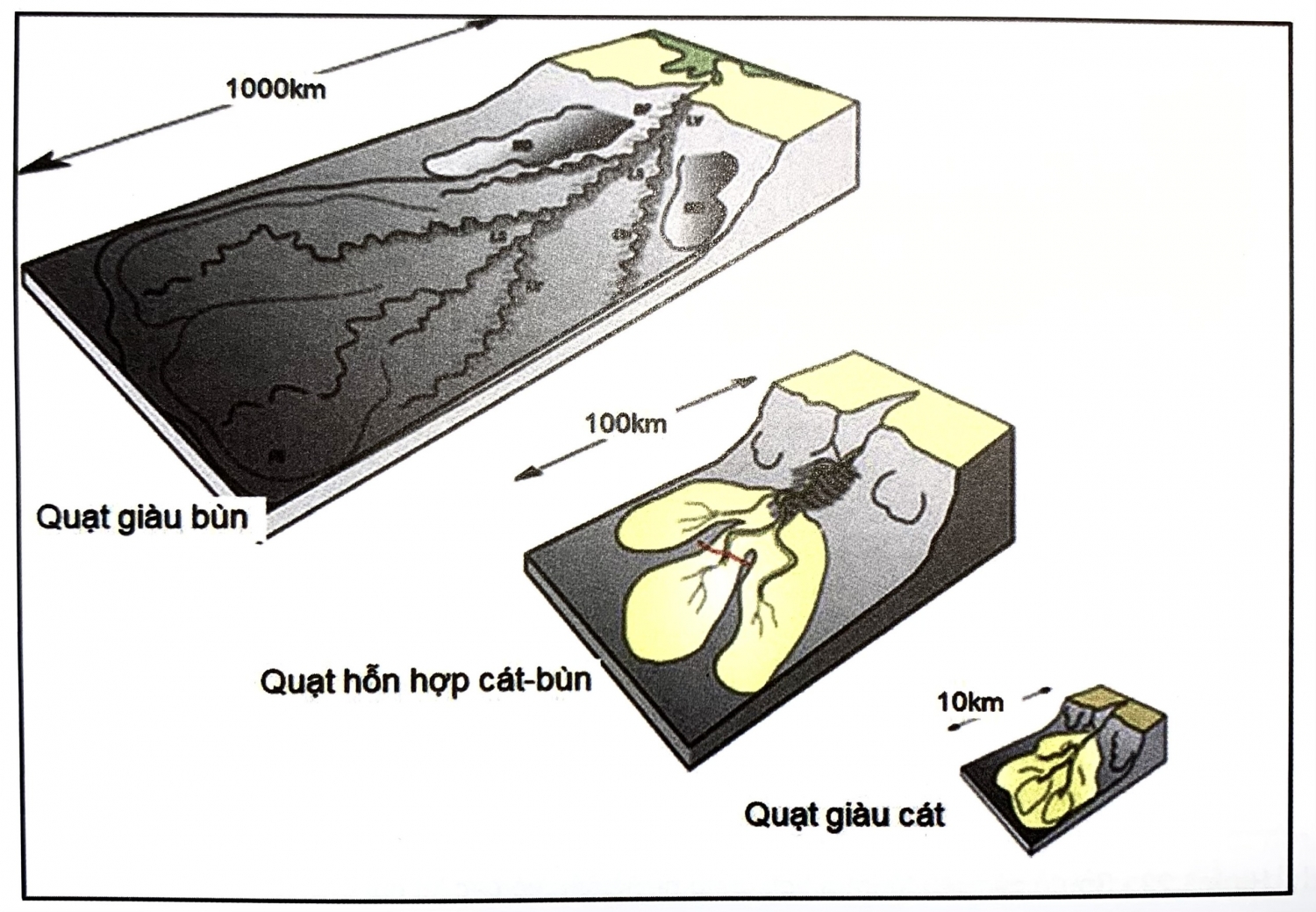 Các yếu tố trầm tích vùng biển nước sâu
