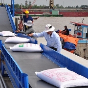 Tin tức kinh tế ngày 12/2: Giá gạo xuất khẩu tăng cao