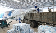 Tin tức kinh tế ngày 15/2: Nhập khẩu phân bón sụt giảm mạnh