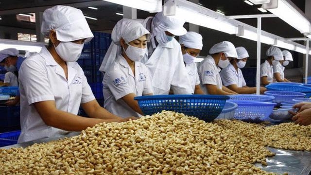 Tin tức kinh tế ngày 14/3: Nhập khẩu hạt điều tăng vọt
