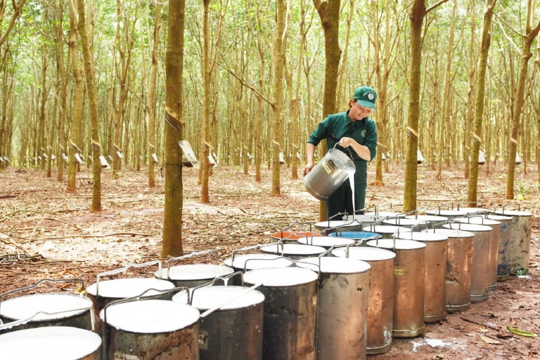Phát huy truyền thống trong xây dựng và thực hiện văn hóa doanh nghiệp