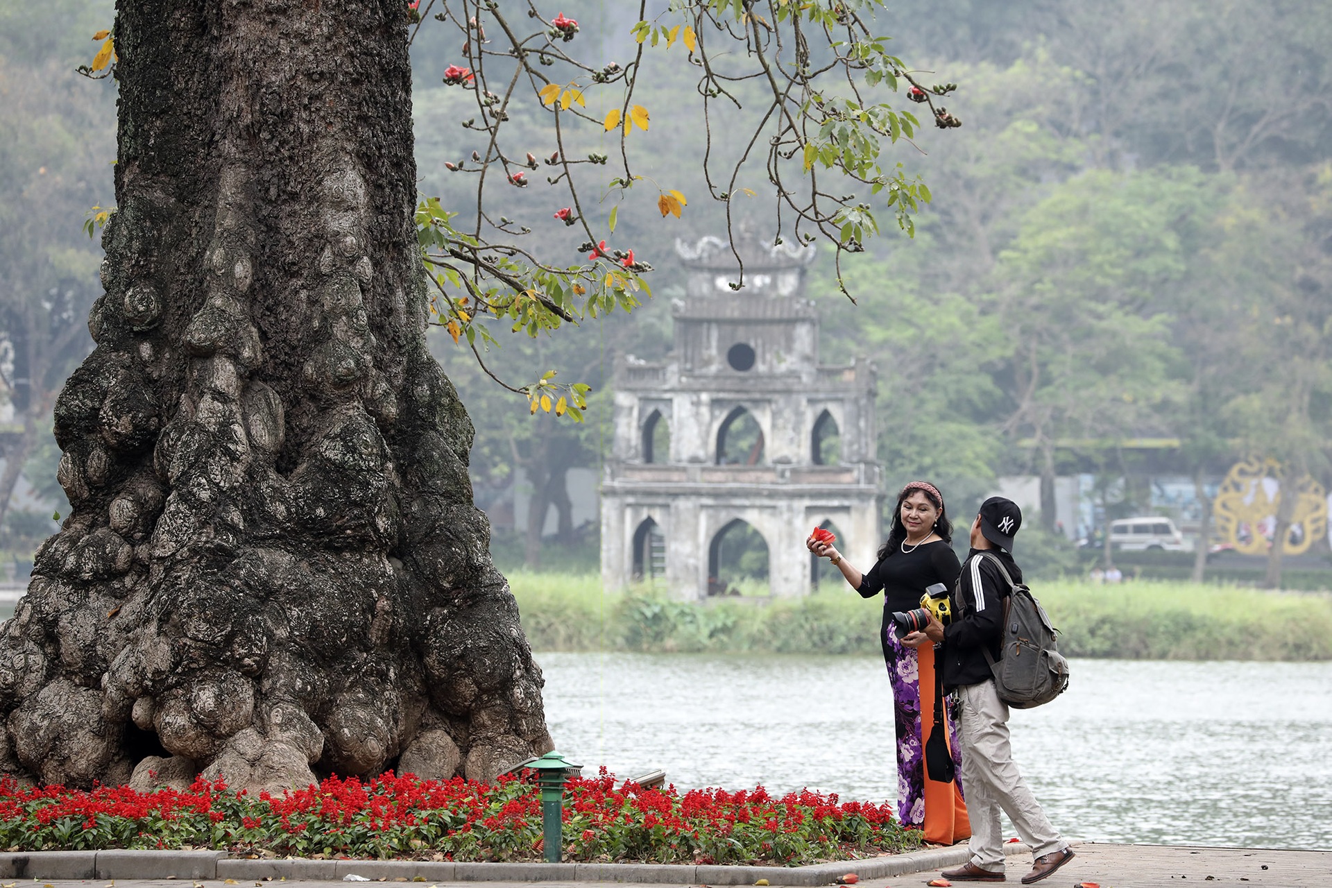Hoa gạo nở đỏ rực từ nông thôn đến thành phố - 12