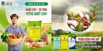 pvfcco hanh trinh 20 nam cho mua boi thu