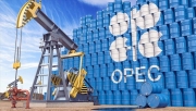 OPEC+ sẽ không thay đổi chính sách sản lượng bất chấp giá dầu lao dốc