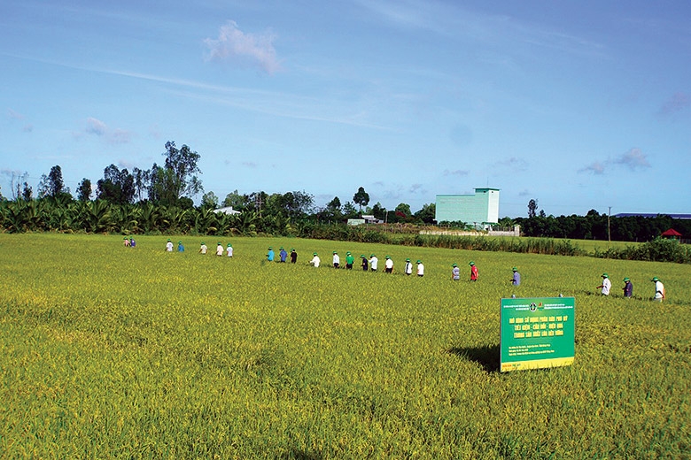 PVFCCo với thương hiệu Phân bón Phú Mỹ góp phần quan trọng đảm bảo an ninh lương thực, an ninh nông nghiệp quốc gia