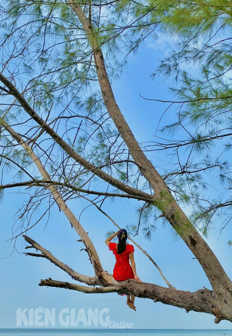 Hòa mình vào vẻ đẹp hoang sơ mũi Hàm Rồng ở bắc đảo Phú Quốc Hòa mình vào vẻ đẹp hoang sơ mũi Hàm Rồng ở bắc đảo Phú Quốc