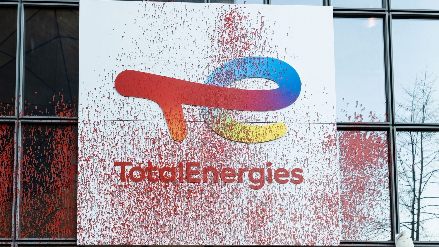 TotalEnergies kiện tổ chức môi trường Hòa bình Xanh