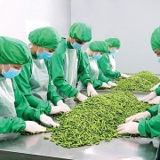 Tin tức kinh tế ngày 16/5: Xuất khẩu rau quả là điểm sáng trong hoạt động xuất khẩu