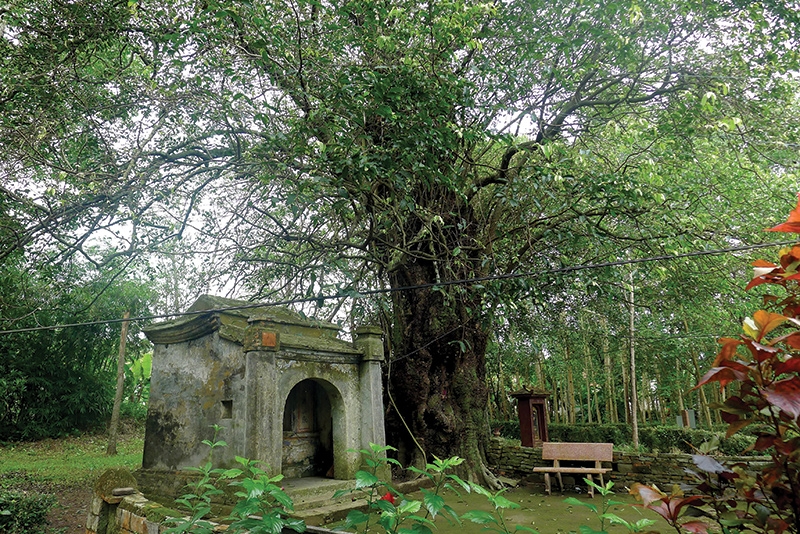 Chênh chao làng cổ Phước Tích