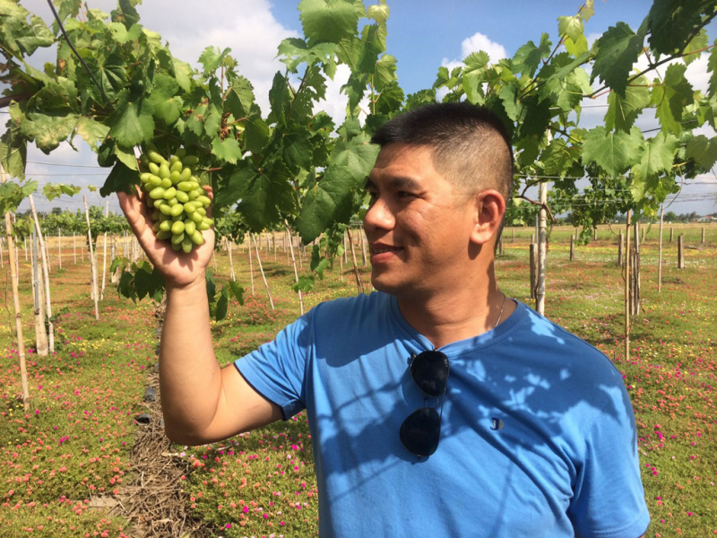 Long An nỗ lực tìm sản phẩm mới cho du lịch