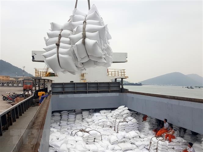 Tin tức kinh tế ngày 31/5: Xuất khẩu gạo năm 2023 dự kiến vượt 7 triệu tấn