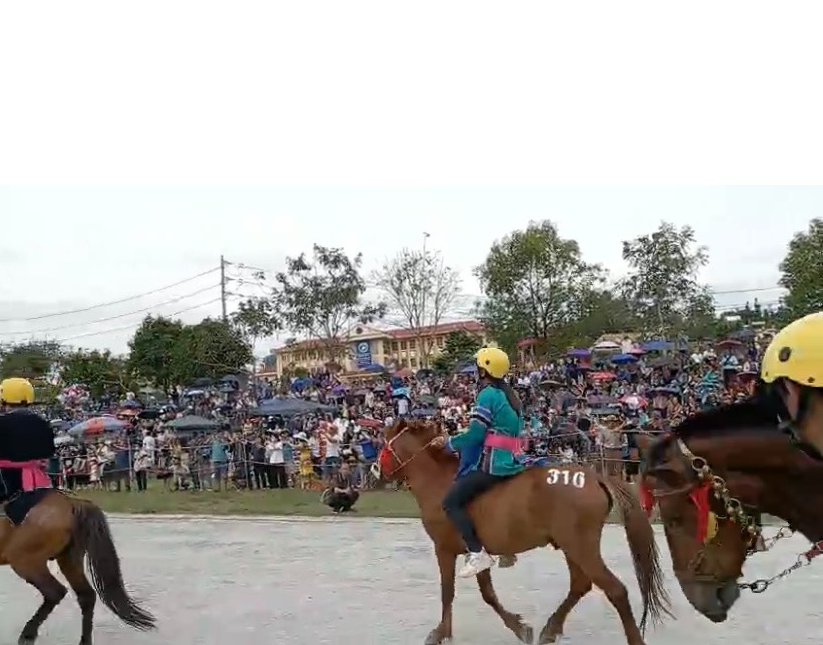 Mận tam hoa chín đỏ trên “Cao nguyên trắng Bắc Hà” níu chân du khách