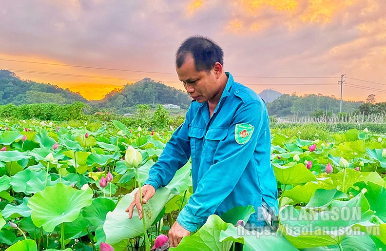 Rực rỡ sắc hoa giữa lòng thành phố Lạng Sơn Rực rỡ sắc hoa giữa lòng thành phố Lạng Sơn