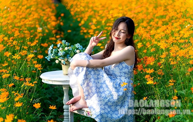 Rực rỡ sắc hoa giữa lòng thành phố Lạng Sơn Rực rỡ sắc hoa giữa lòng thành phố Lạng Sơn