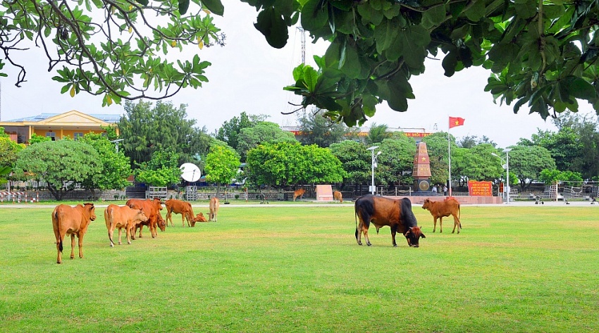 Chuyện tác nghiệp ở “vùng biển bão tố”