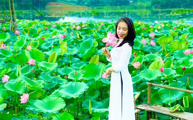 Mùa sen Vân Hội