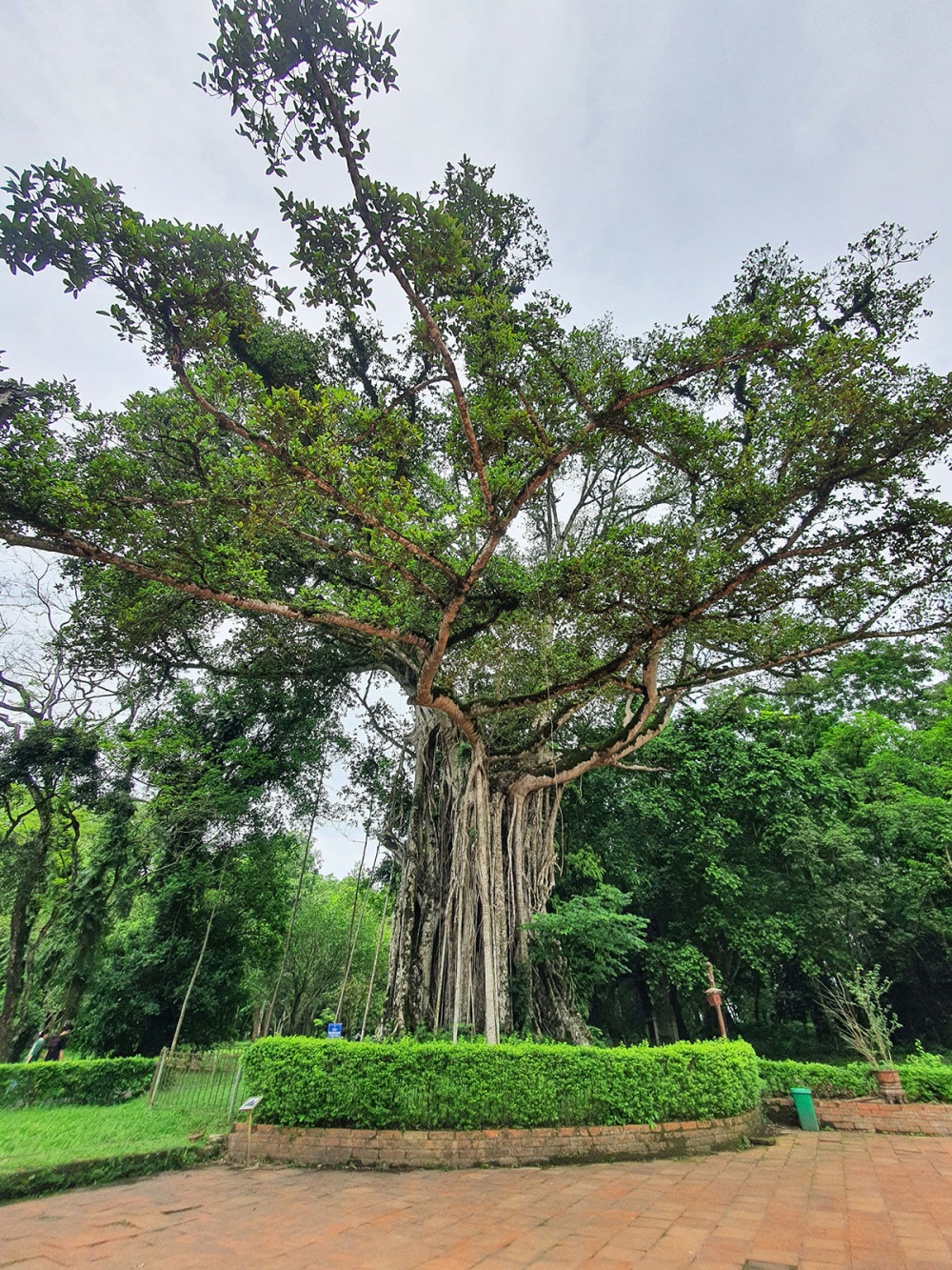 Lam Kinh   Tìm về nơi cố đô