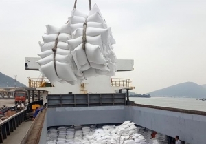 Tăng cường thực hiện các nhiệm vụ, giải pháp thúc đẩy sản xuất, xuất khẩu gạo