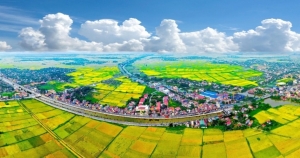 Ban hành Quy chế hoạt động của 2 Hội đồng điều phối vùng đồng bằng sông Hồng và vùng Đông Nam Bộ