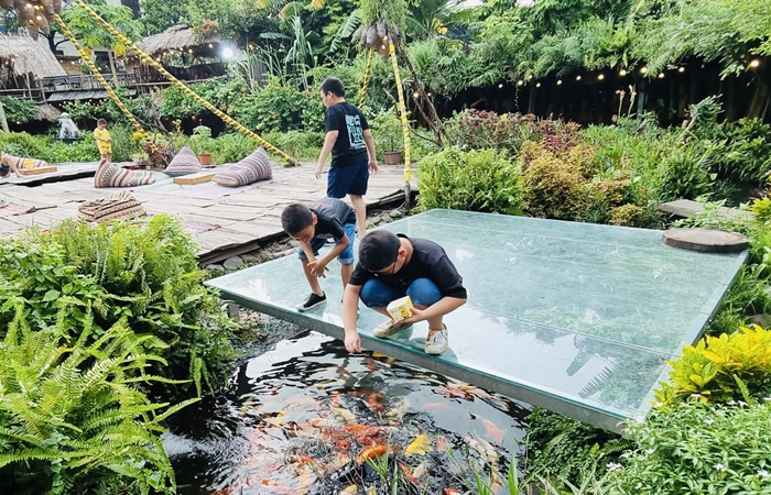 Hà Nội: Thúc đẩy du lịch nông nghiệp, nông thôn