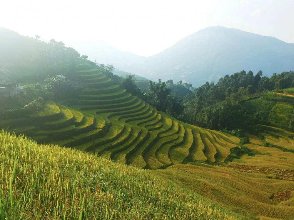 Bản Liền, Bắc Hà, mộc mạc đơn sơ níu chân du khách