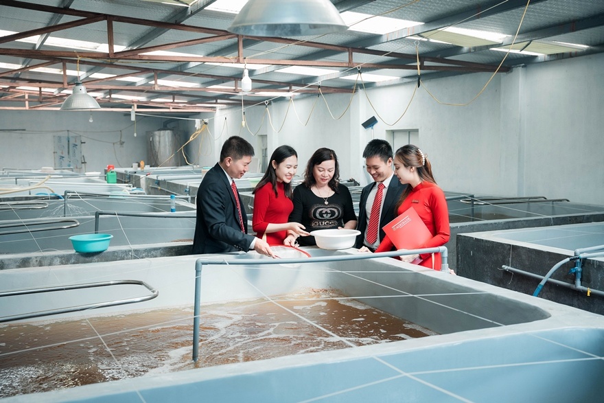 Tăng cường sức hấp thụ vốn cho doanh nghiệp