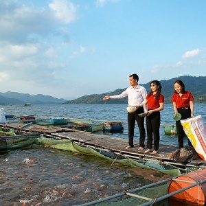 Phát triển kinh tế biển xanh, bền vững