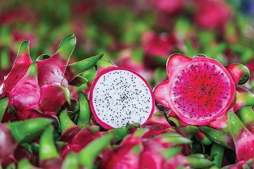 Chuyển đổi số hướng tới nông nghiệp xanh và phát triển bền vững Chuyển đổi số hướng tới nông nghiệp xanh và phát triển bền vững