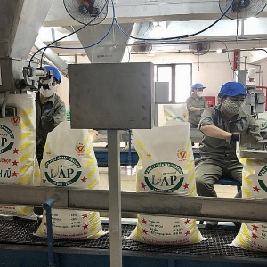 Thiệt hại hàng nghìn tỷ mỗi năm, sao mãi chưa sửa Luật thuế 71?