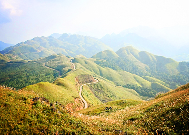 Du lịch trải nghiệm mùa cỏ lau biên giới Du lịch trải nghiệm mùa cỏ lau biên giới