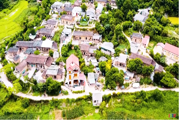 Du lịch trải nghiệm mùa cỏ lau biên giới Du lịch trải nghiệm mùa cỏ lau biên giới