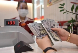 Tin tức kinh tế ngày 24/9: Đồng USD đạt mức cao nhất trong 6 tháng