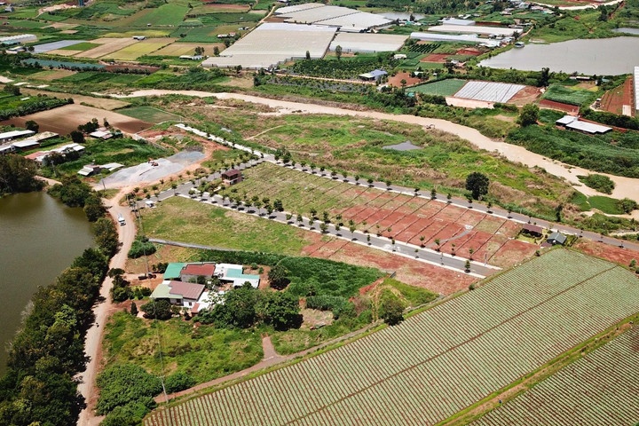 Tin bất động sản ngày 5/10: Lâm Đồng chỉ đạo xử lý nghiêm 