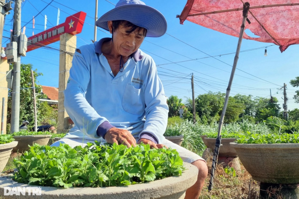 Những người gom nắng 