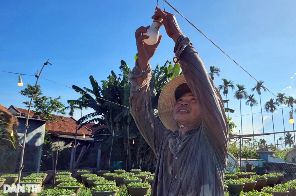 Những người gom nắng 