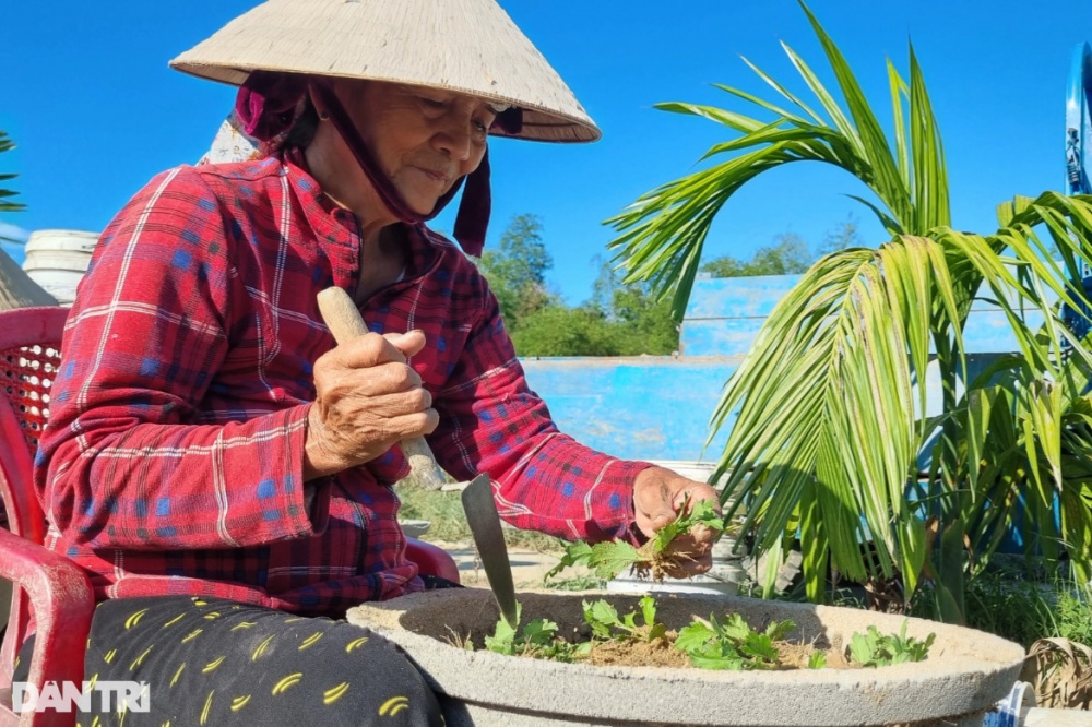 Những người gom nắng 