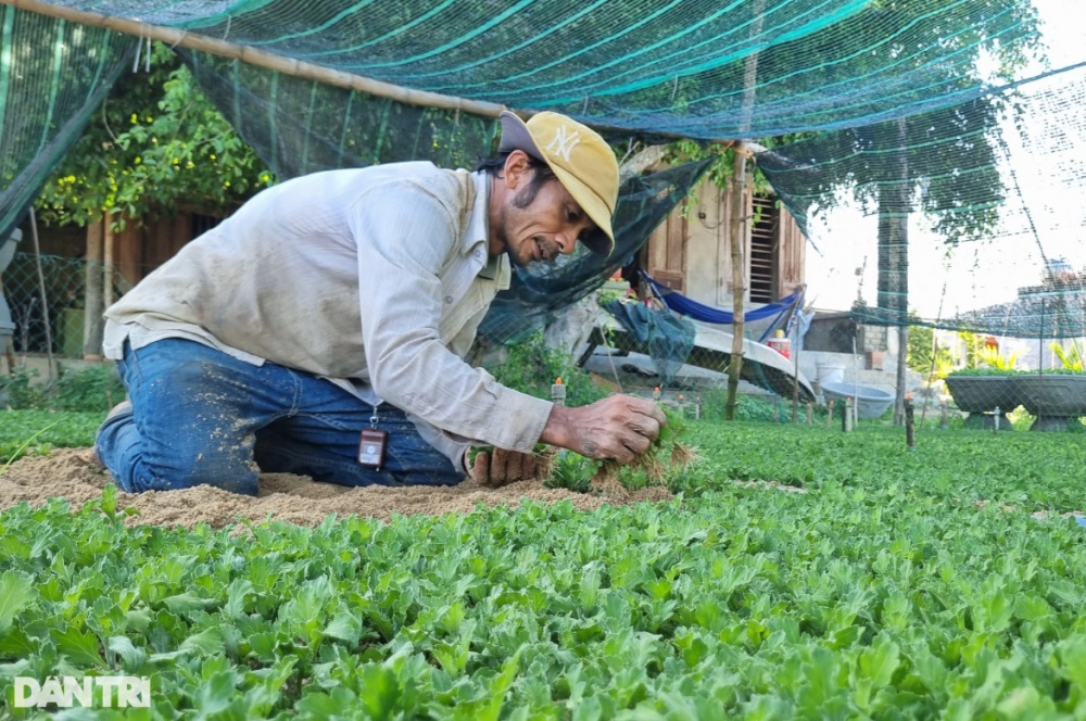 Những người gom nắng 
