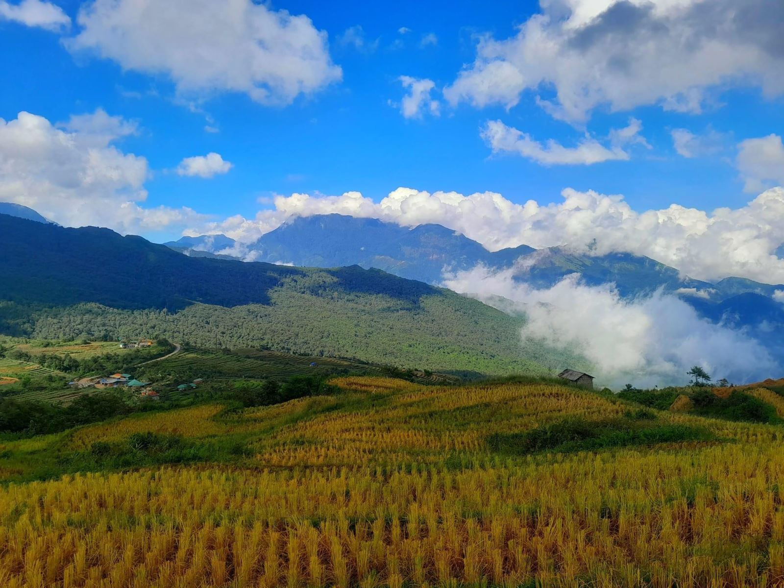 Kinh nghiệm di chuyển từ Hà Nội lên săn mây Y Tý