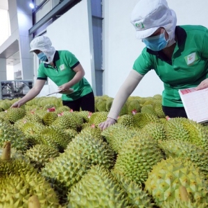 Trung Quốc tiếp tục là đối tác thương mại lớn nhất của Việt Nam