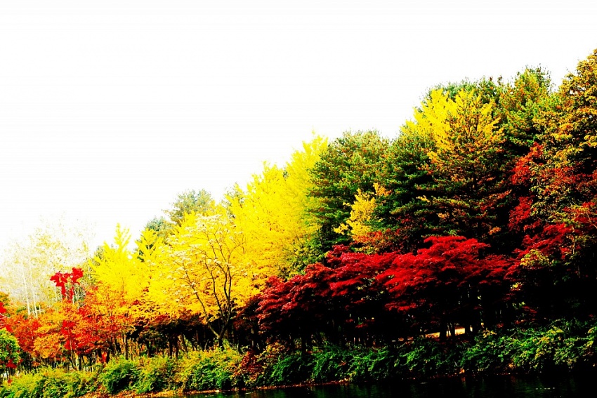 Hội diễn văn nghệ CB CNLĐ thể hiện nét đẹp truyền thống văn hóa của Yến Sào Khánh Hoà