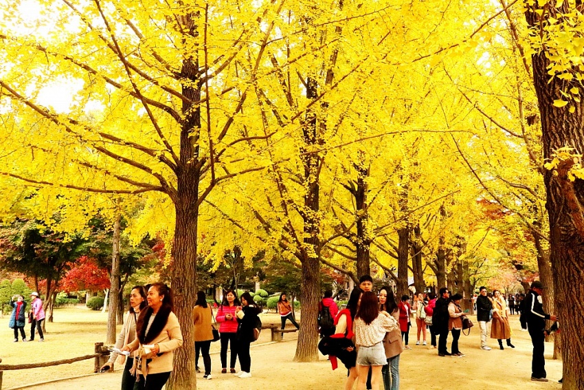 Hội diễn văn nghệ CB CNLĐ thể hiện nét đẹp truyền thống văn hóa của Yến Sào Khánh Hoà